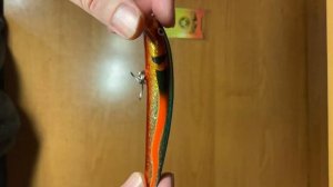 Unboxing воблера Nils Master INVINCIВLE DR,12cm, 24g, #056 по заказу Fmagazin