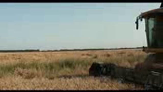 Рекордный урожай в Белгородской области смотреть онлайн