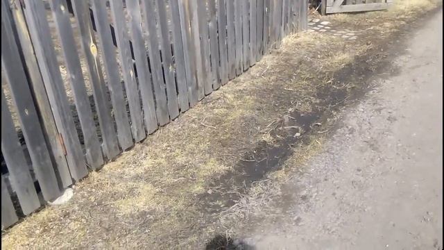 Поехал на дачу, нужно поднять ворота!Говорят, что в городе скучно мужикам! смотреть онлайн