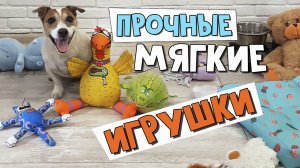 Лучшие прочные мягкие игрушки для собак. Обзор СУПЕР игрушек