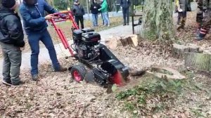 Пней нет - Удаление, дробление, корчевание пней под ключ