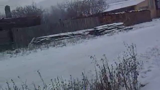 Берёза смотреть онлайн