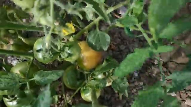 Колодец своими руками ручным буром смотреть онлайн