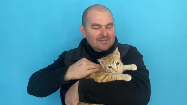 Так что же со сбитым котенком? смотреть онлайн