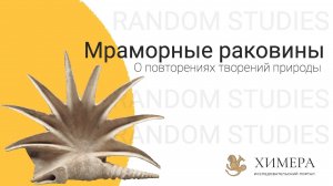 RANDOM STUDIES: Мраморные раковины. Повторение творений природы