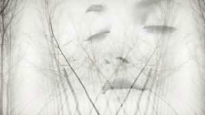 Раймонд Паулс.Скрипач.