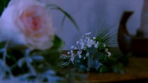 Ты мои  целовал колени и судьбе  говорил  спасибо.