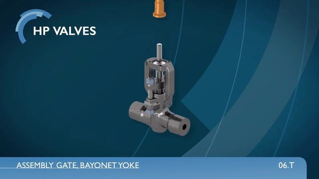 DS 06.T Assembly movie solid wedge gate valve DN 15 25 смотреть онлайн