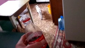 Кошки и кока кола / Cats and Coca cola