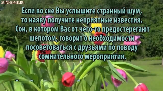 К чему снится Шум слышать сонник, толкование сна смотреть онлайн
