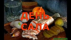 СЕГОДНЯ ДЕНЬ САЛА! ШУТОЧНАЯ ПЕСЕНКА ПРО САЛО