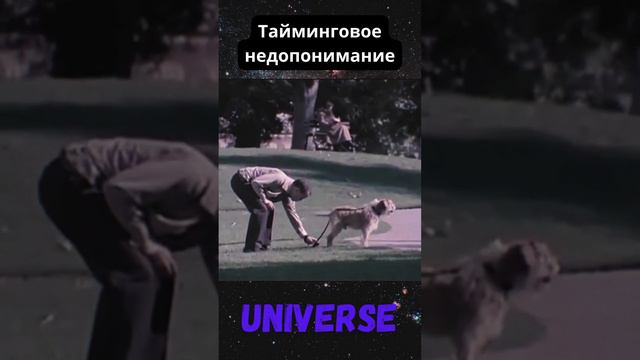 Тайминговое недопонимание