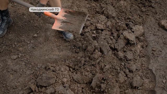 Археологические раскопки начали учёные ДВО РАН
