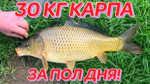 Влияние давления на карпа летом весной зимой и осенью. Карп и давление.
