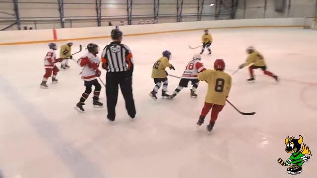 (U-8) Хоккей в Сердце - Chiefs