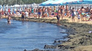 Анапа в июле. Пляжный кошмар камка, зеленые водоросли, отдыхающие и Африканская Бамбуча Э-э-э