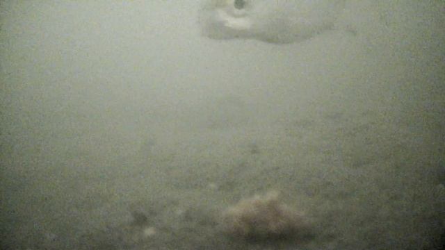 Зимняя рыбалка в речпорту (Омск). С рыбными консервами на рыбалке смотреть онлайн