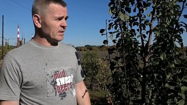 Что это на сливе и как с этим бороться...