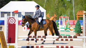 Верховая езда - спорт и модное хобби