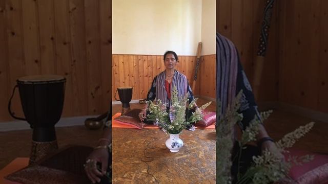 Вина Ачария, гармонизация чакр с помощью практик Ямы и Ниямы, 2 | Международный день йоги 2020
