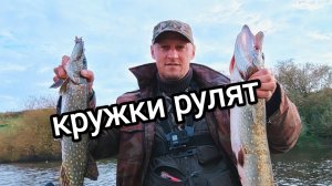 КРУЖКИ РУЛЯТ! Они сделали эту рыбалку!