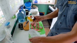 Стейк из горбуши в маринаде. Как приготовить стейк из горбуши на гриле