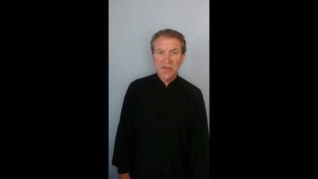 Введение. Тайцзи цюань стиль Я смотреть онлайн