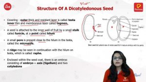 Morphology of flowering plant - 3 | NEET Biology | Practically