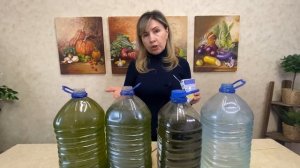 ВЫРАЩИВАНИЕ ХЛОРЕЛЛЫ ДОМА ЗА ДВЕ НЕДЕЛИ!