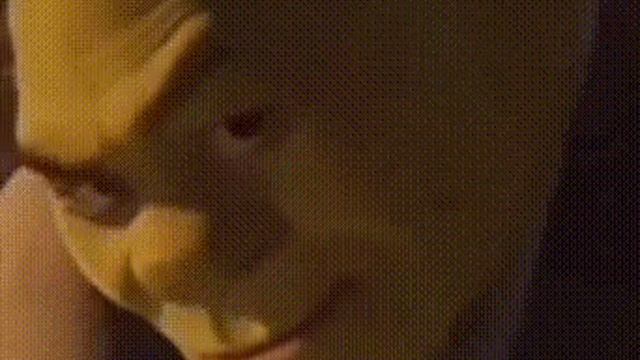 шрек мем смотрит в камеру шрек 1