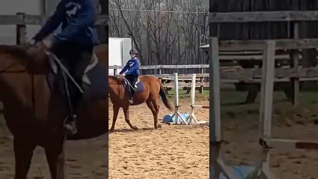 Hope this is okay LX.horseyspam