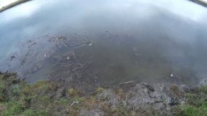 Рыбалка на реке Чулым случайная встреча с браконьерами