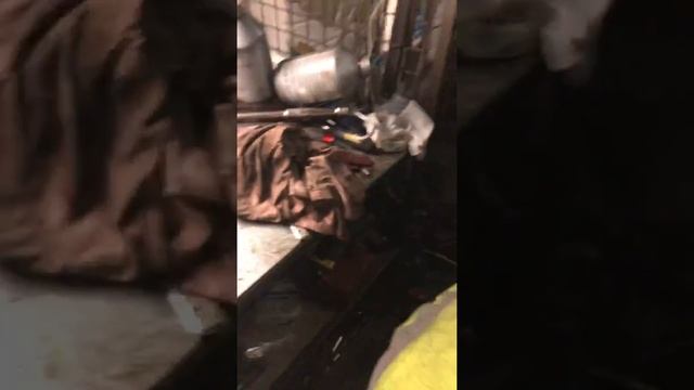 VW, DSG DQ200 7 Speed Auto Transmission Oil and Mechatronic Oil Change смотреть онлайн