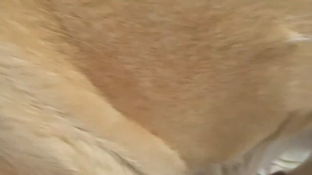 Приходящий папа... Очень заботливый отец оказывается