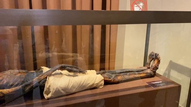 ВО МНЕ ПРИЗНАЛИ СТУДЕНТКУ/Питер - это по любви.ЭРМИТАЖ, речная прогулка по реке НЕВА/САНКТ-ПЕТЕРБУРГ