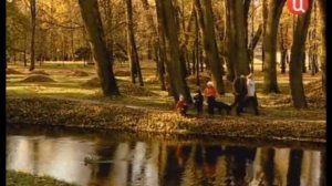 Желтые листья.Сергей Сухачев