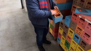 Пасеки Бодян: 2024 -подготовительные работы.