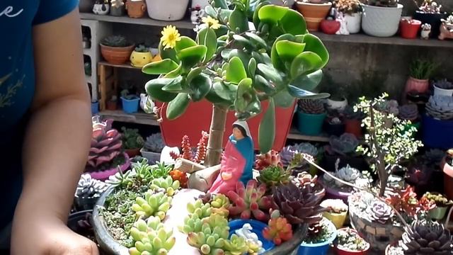 ARREGLO NAVIDEÑO🤩 LES MUESTRO LOS PREMIOS PARA LA FAVORITA 2022😱🤩🇪🇨 смотреть онлайн