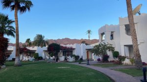 Swiss Inn Resort Dahab 4*. Видеообзор отеля в Дахабе. Египет