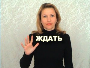 ЖЕСТОВЫЙ ЯЗЫК. СЛОВАРЬ. Ждать