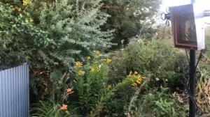Святой источник Пресвятой Богородицы в с.Георгиевка/Святые источники Самарской области Часть 3/