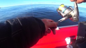 Рыбалка на Белом море.Камбала.Треска.