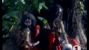 Deep Forest   Deep Forest