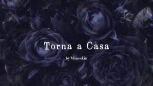 Torna a Casa (slowed) - Måneskin