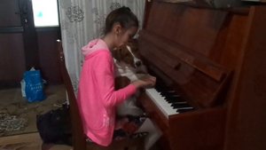 Собачий Вальс