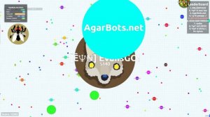 Terrific solo agario gameplay | Одиночная игра в агарио (Agar.io +27K)