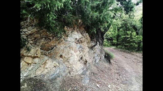 Смотровая площадка