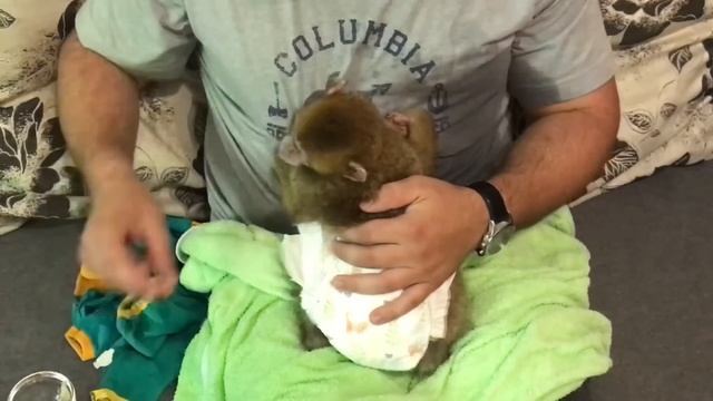 Бедная обезьяна Марточка Первый раз  ПРИНИМАЕТ ДУШ  Обезьяна Марта . #monkey