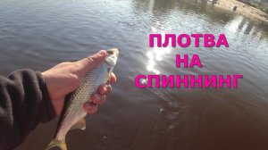 #490 #мормышинг  | Жирная плотва | Ловля плотвы на спиннинг |