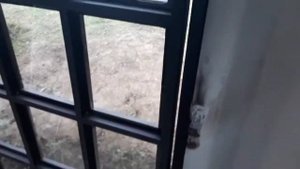 Железные двери в морских контейнерах!